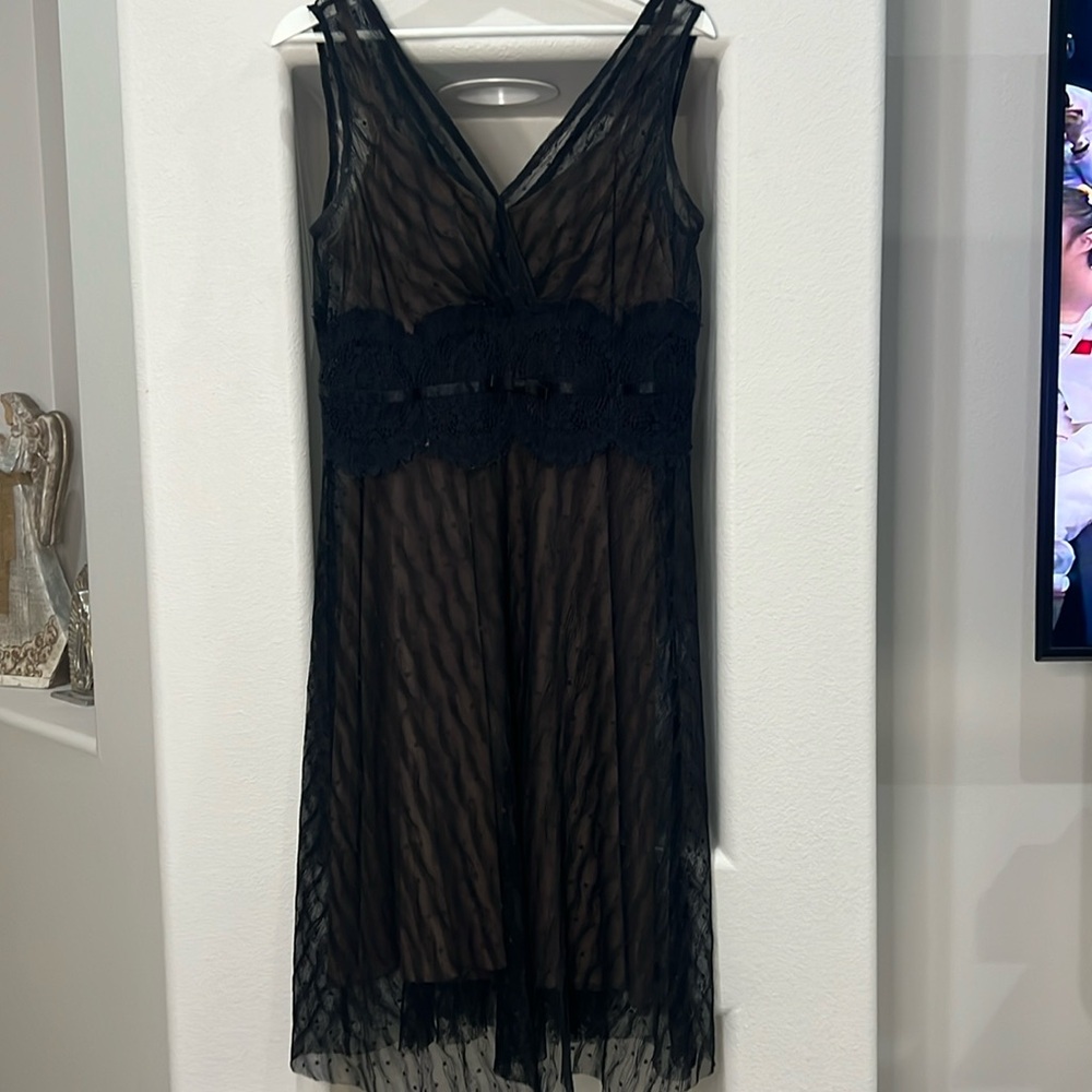 Adrianna Papell Lace Vintage Dress